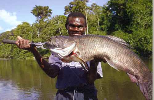 Fisher holding an Anjumara fish.
