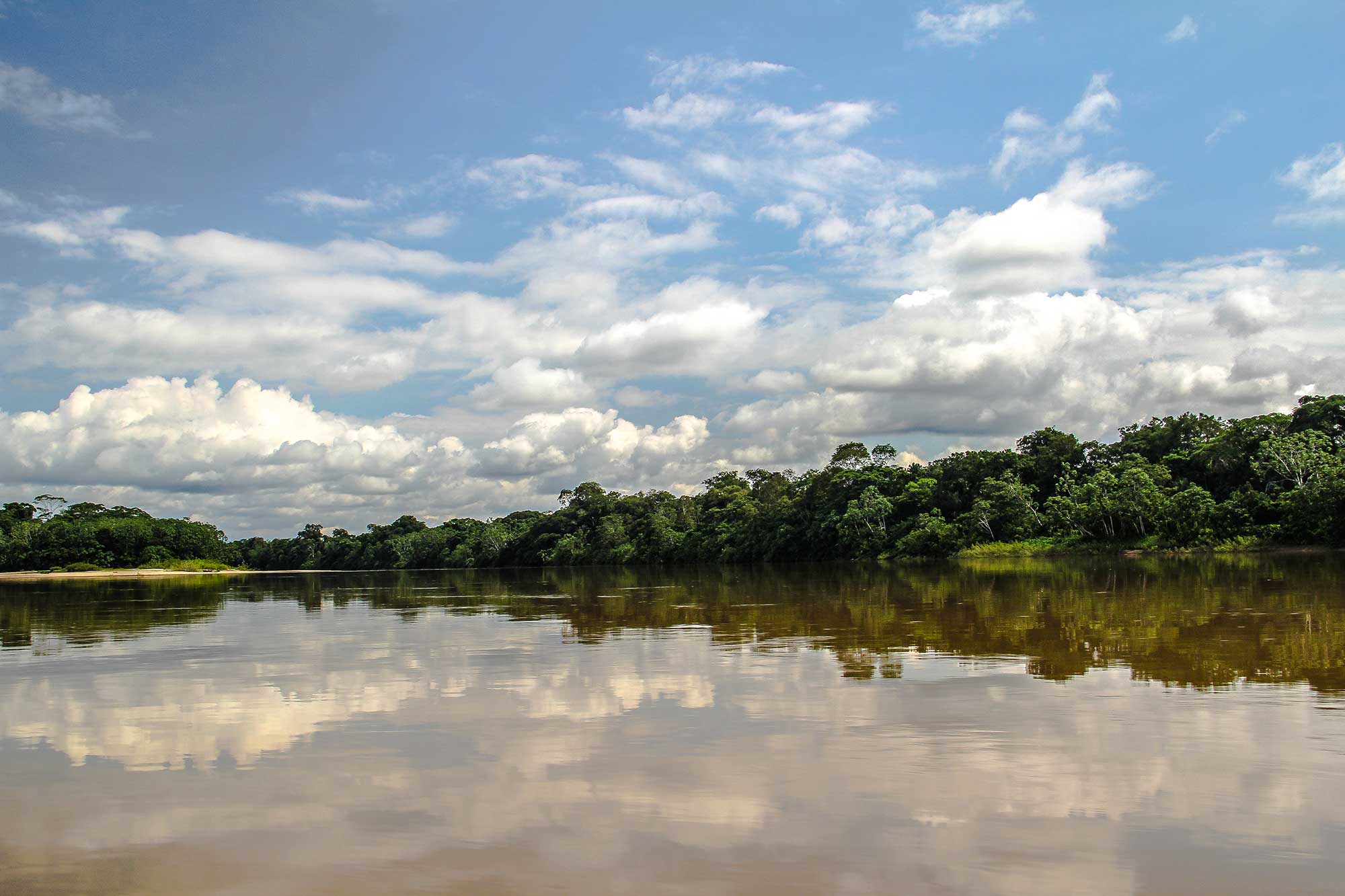Donate to the Amazon Conservation Team (any amount)