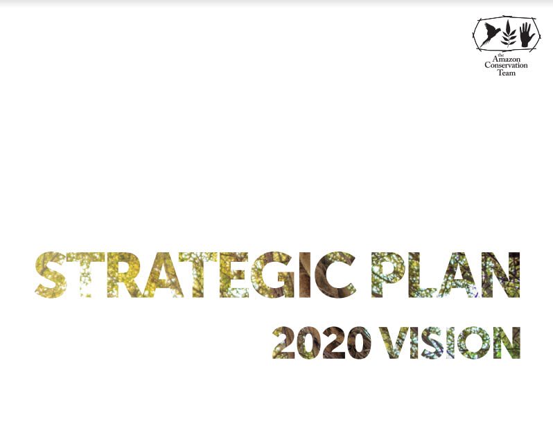 2020 strategic plan