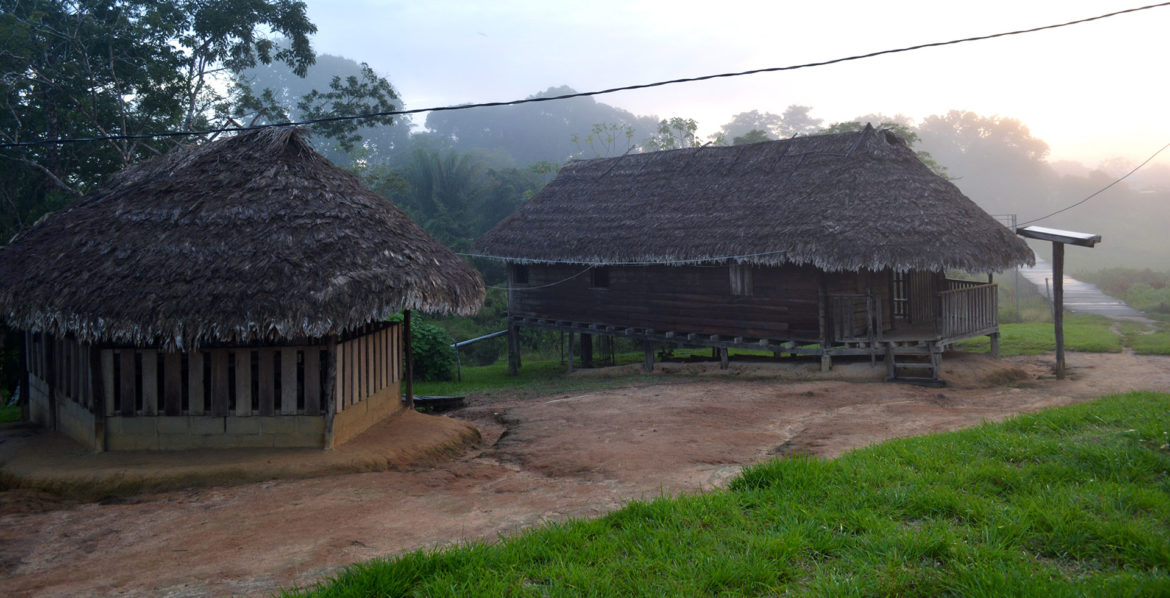 Foggy Kwamalasamutu