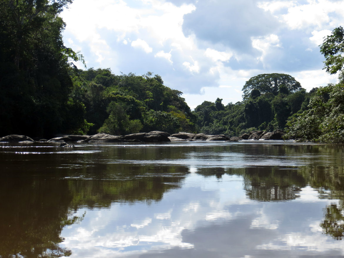 Matawai River View