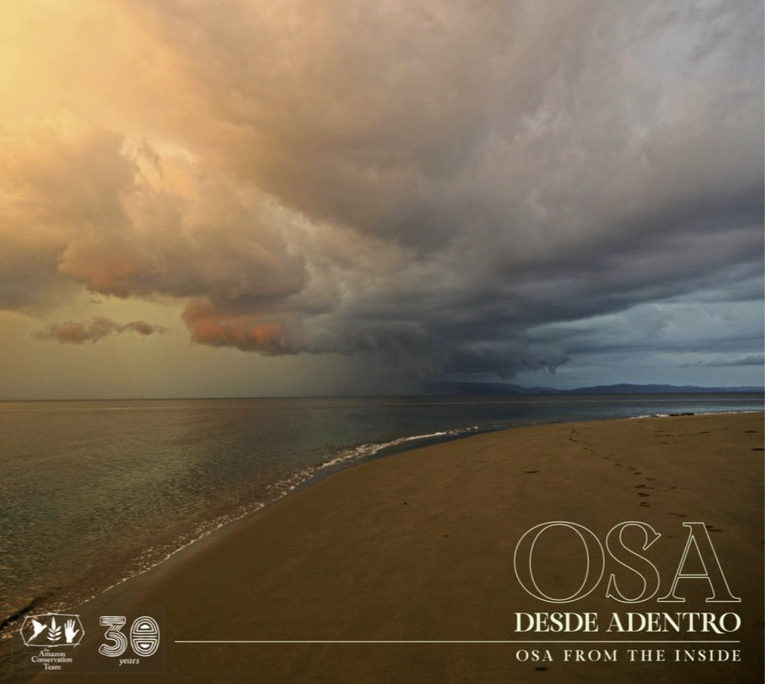 Osa - From the inside