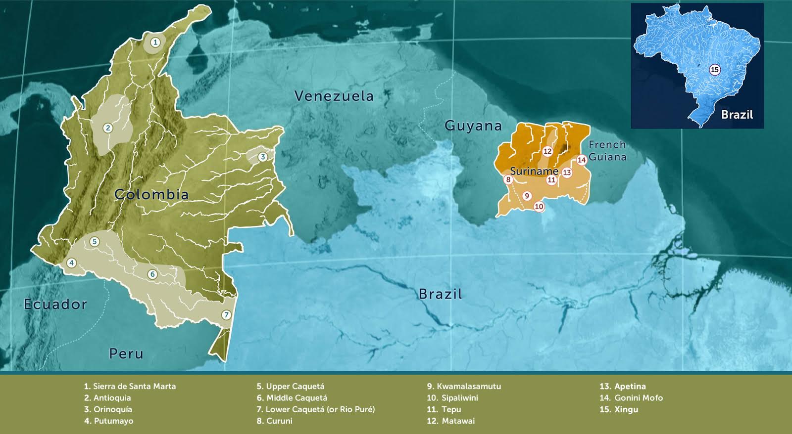 amazon-conservation-team-where-we-work
