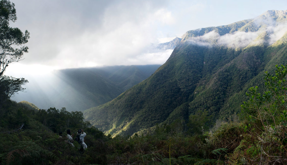 Colombia Mountain View