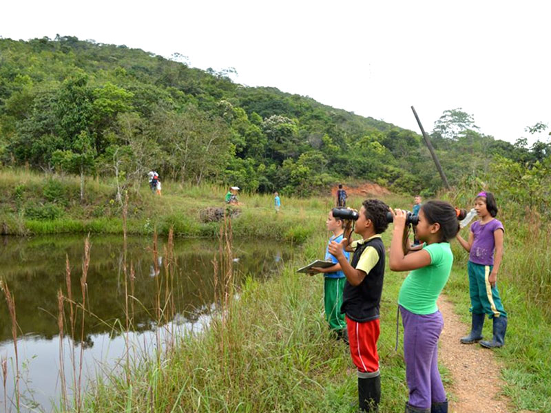 Monitoreo-5 Biodiversity monitorint at the municipal natural reserves of Belén de los Andaquíes, Colombia