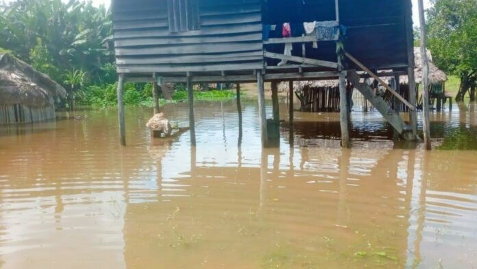 Flood in Sipaliwini Suriname, Waterkant photo