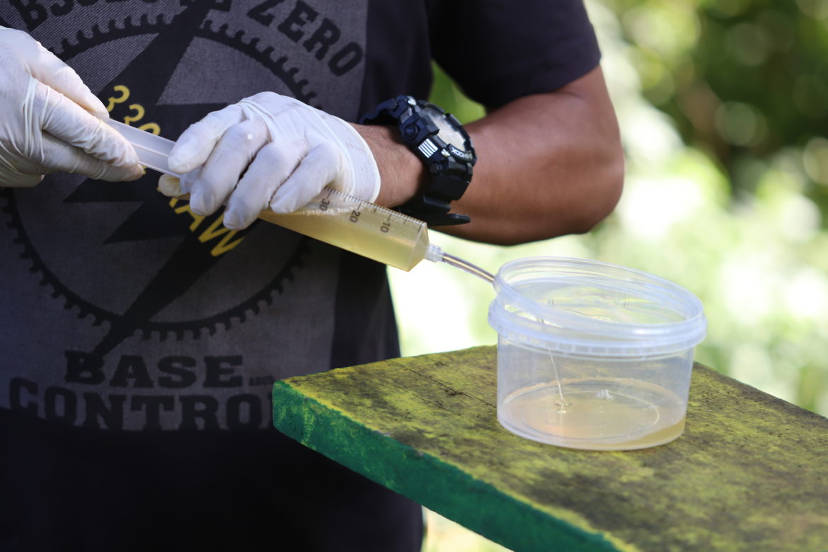 Participant harvesting honey in southern Suriname