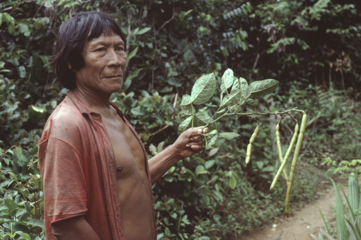One of Mark’s first teachers at Kwamala; major character in the children’s book “The Shaman’s Apprentice” by Lynne Cherry and Mark Plotkin