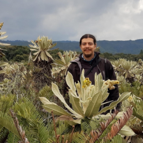 Daniel Aristizabal_bio photo