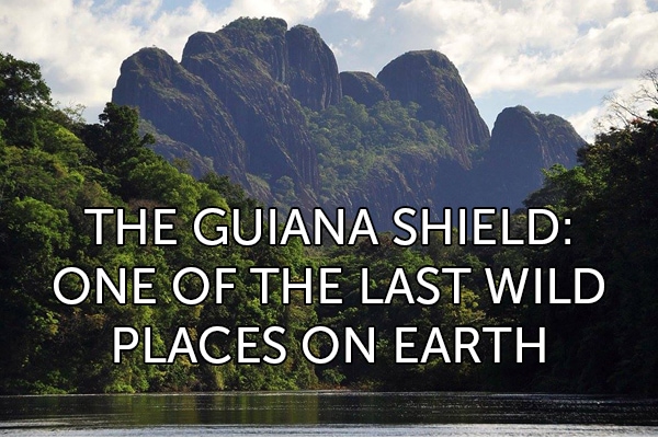guiana-shield-thumb-1