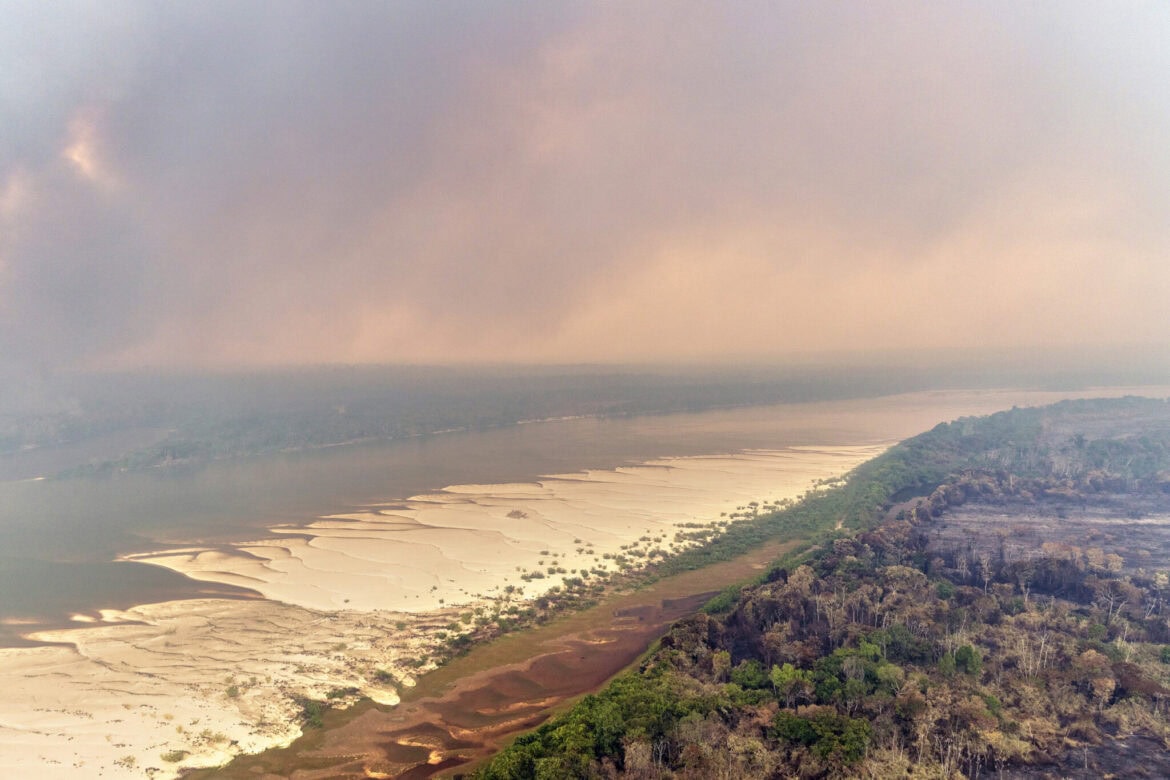 Scorched earth on the banks of the drought-stricken Xingu River in the Capoto-Jarina Indigenous Territory on September 12th, 2024. Photo © Marizilda Cruppe / Greenpeace.