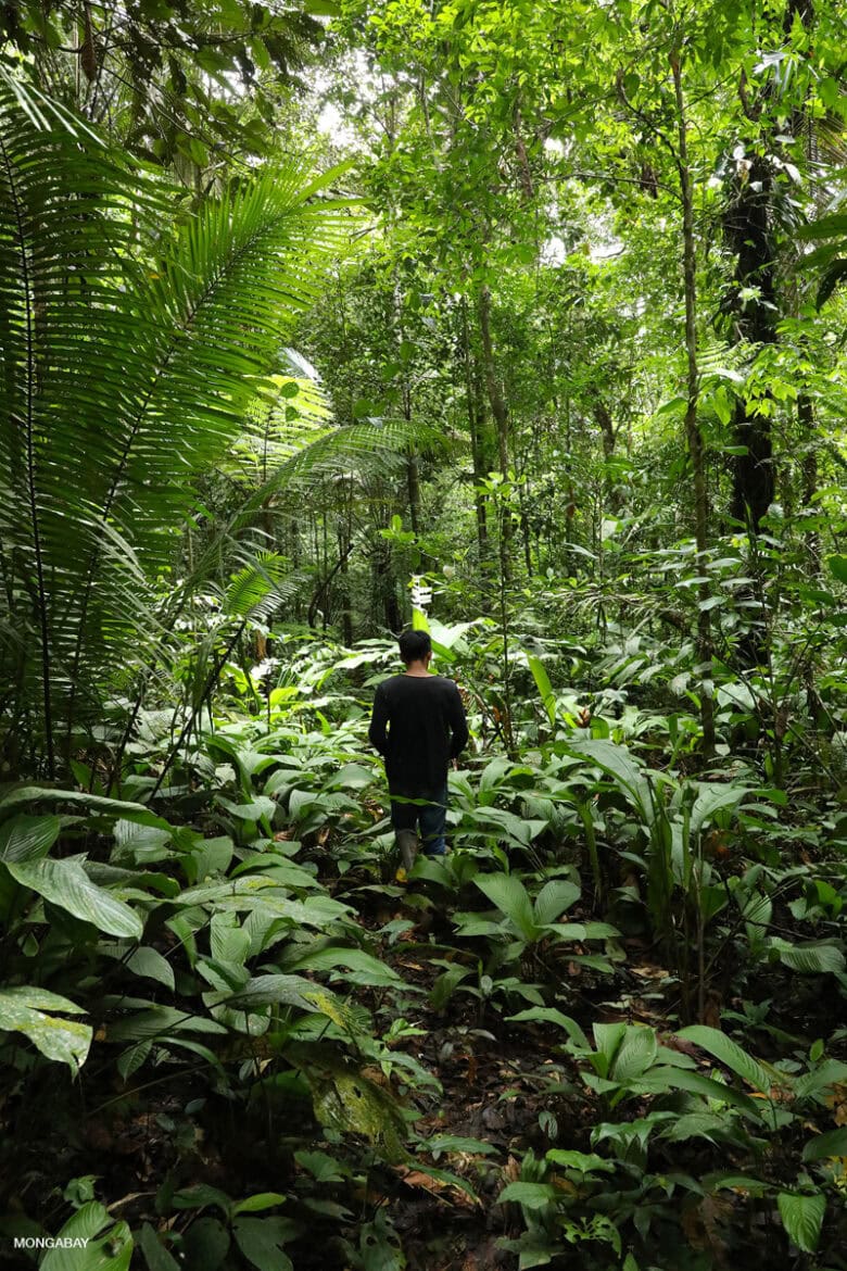An indigenous man in the Amazon rainforest. Image by Rhett A. Butler/Mongabay.