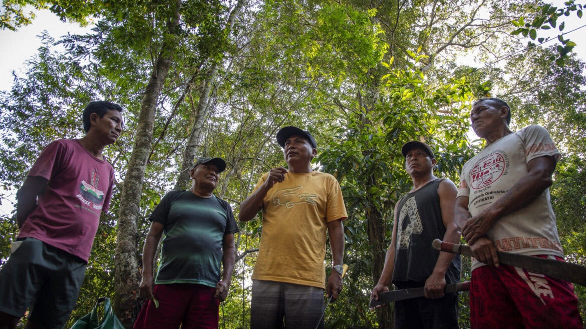 Indigenous healers gathered in the forest. Photo by Amanda Lelis.