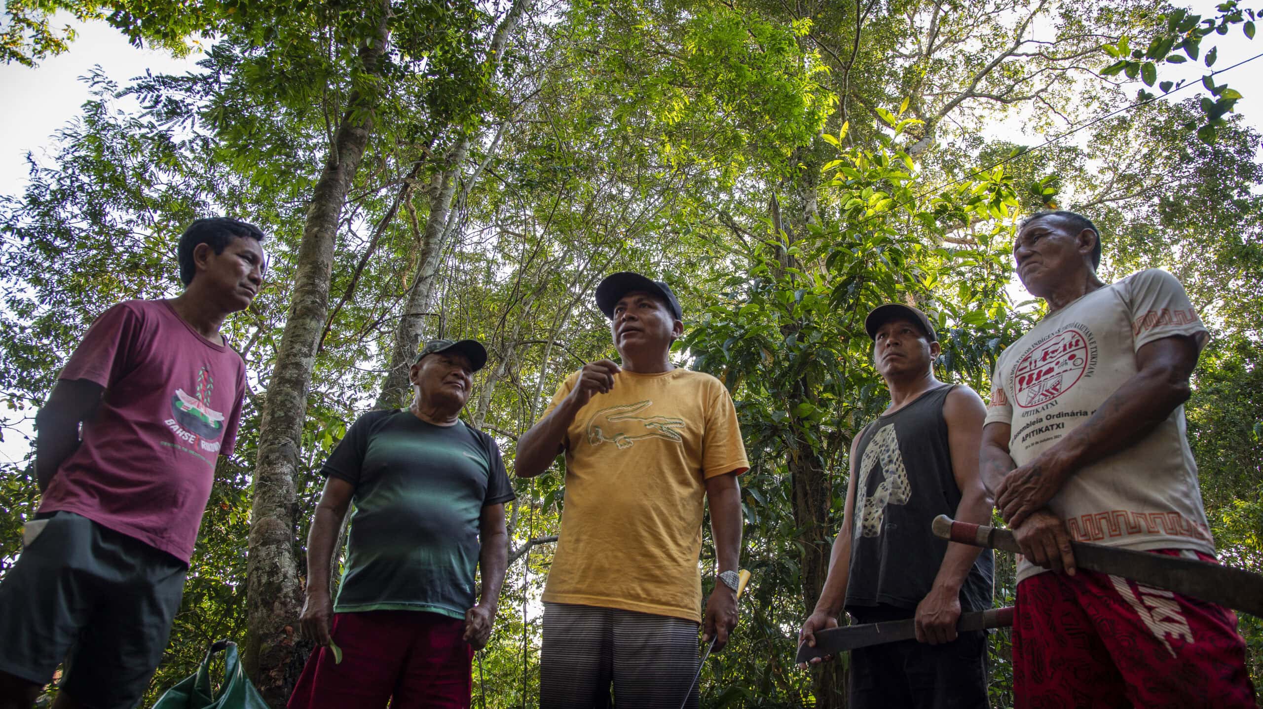 Indigenous healers gathered in the forest. Photo by Amanda Lelis.