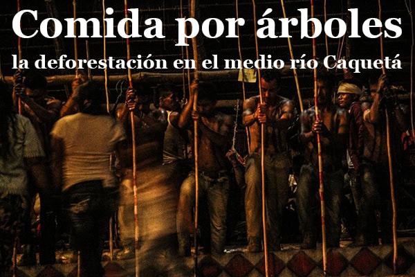 comida-arboles