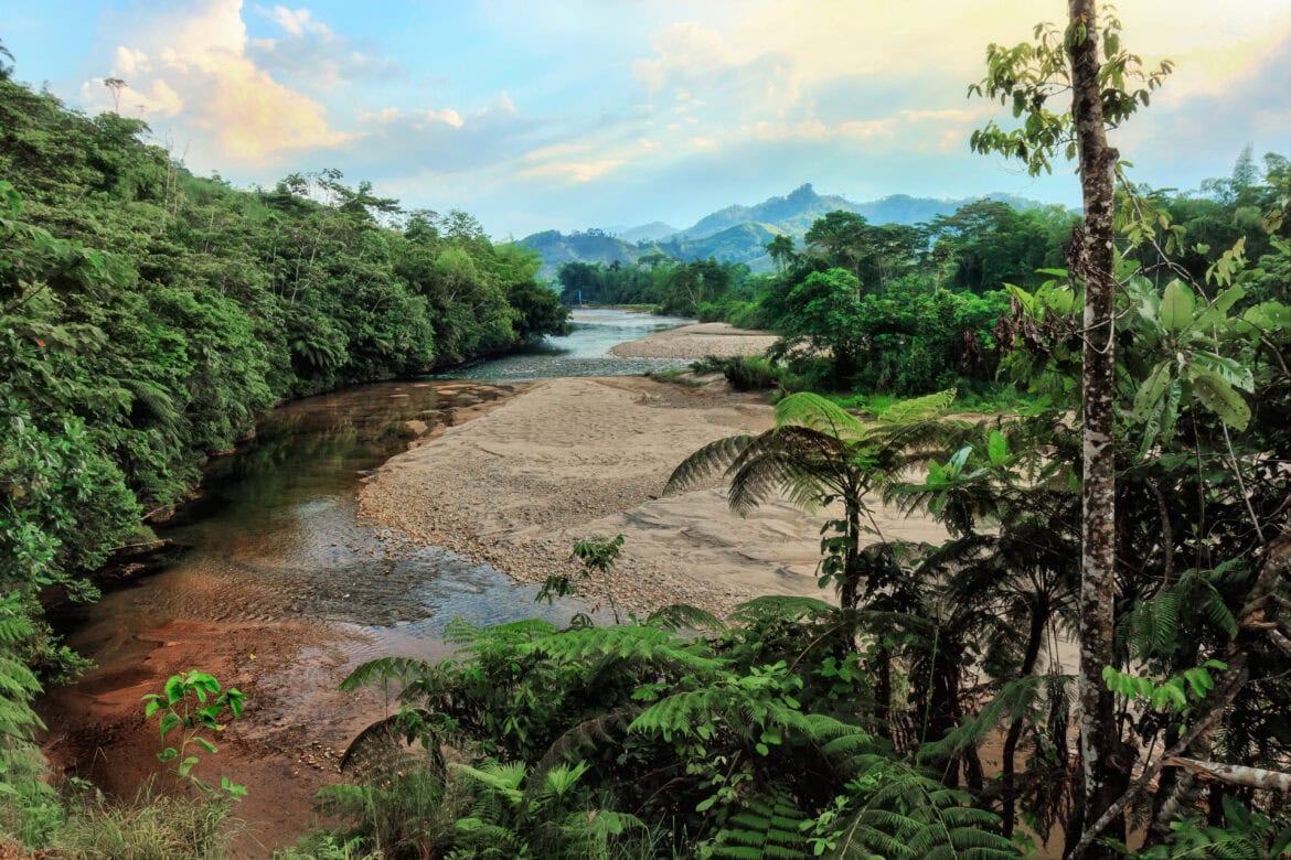 Rio Pescado in the Colombian Amazon