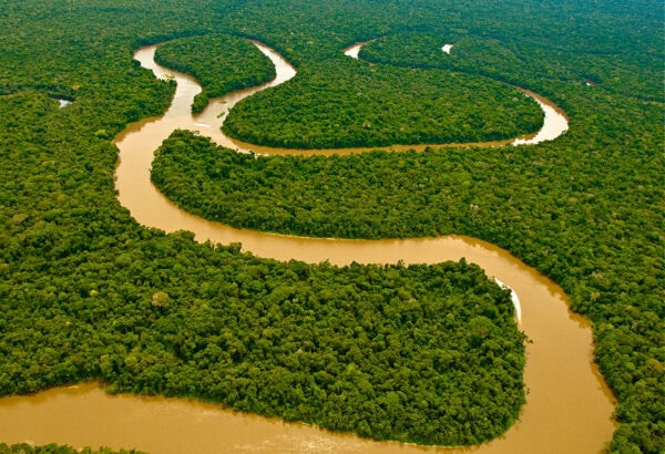 Winding river through the Colombian Amazon Rainforest