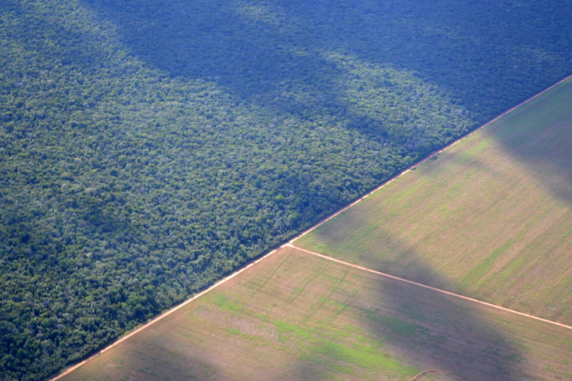 Deforestation in the Brazilian Amazon