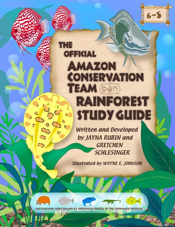 Rainforest Study Guide 3