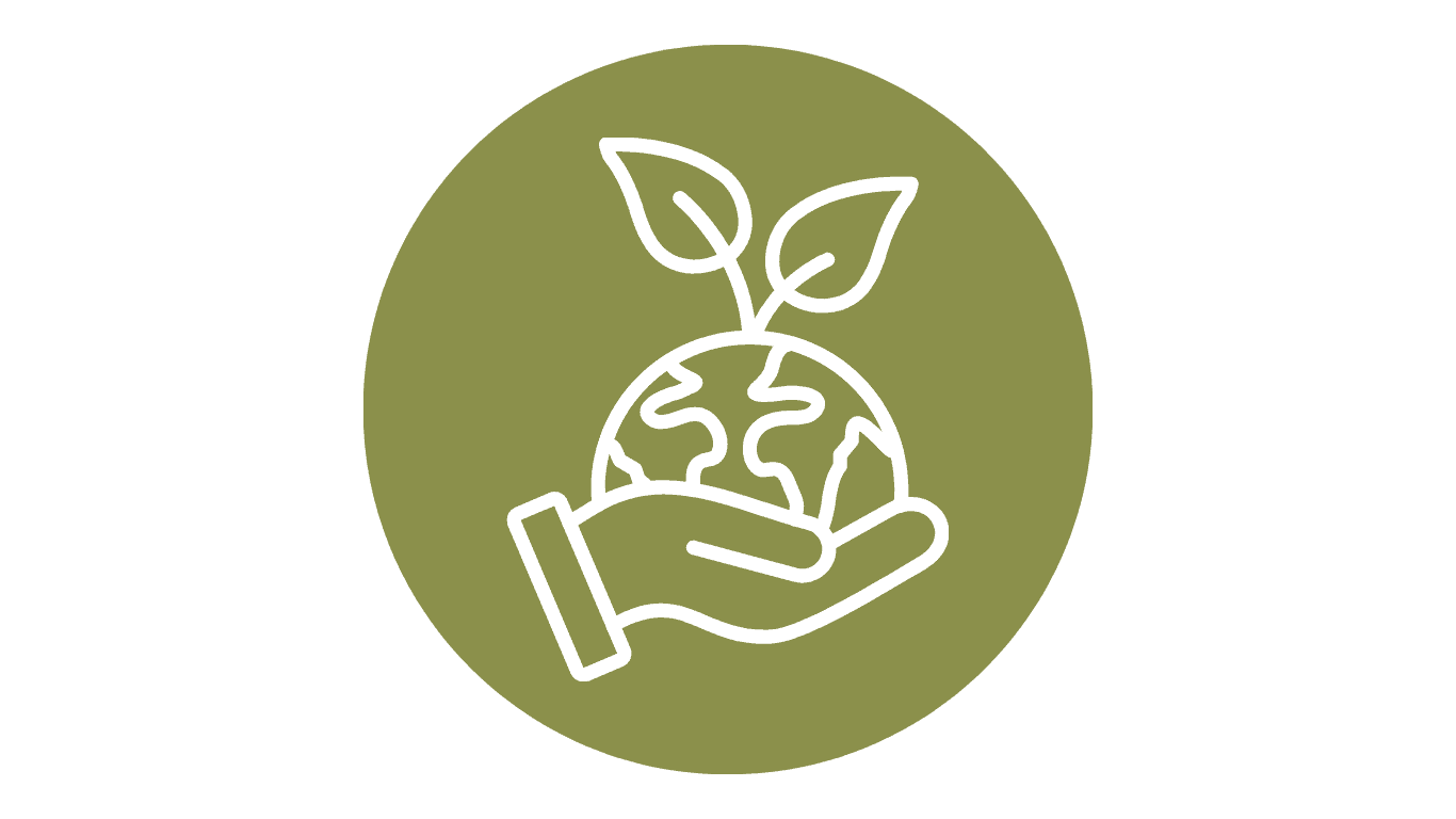 Rainforest Conservation