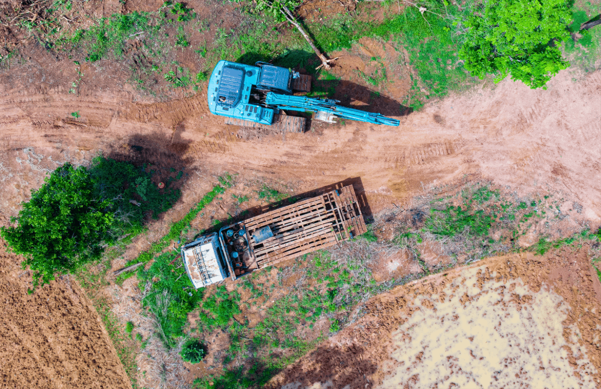 Deforestation and environmental degradation