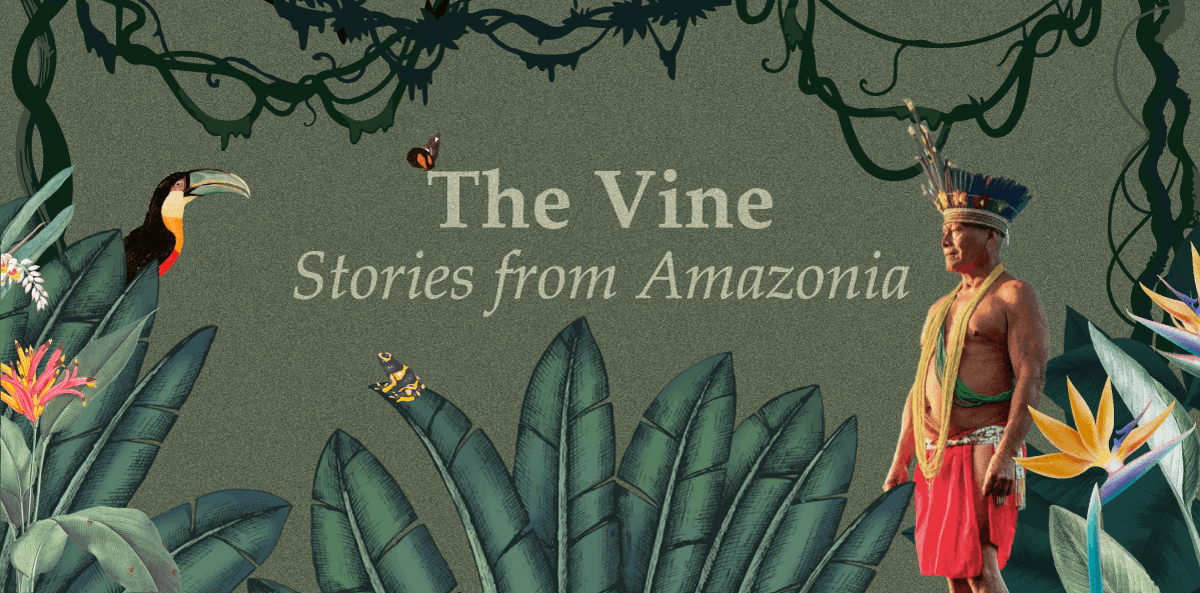 The Vine - Stories from Amazonia Newsletter