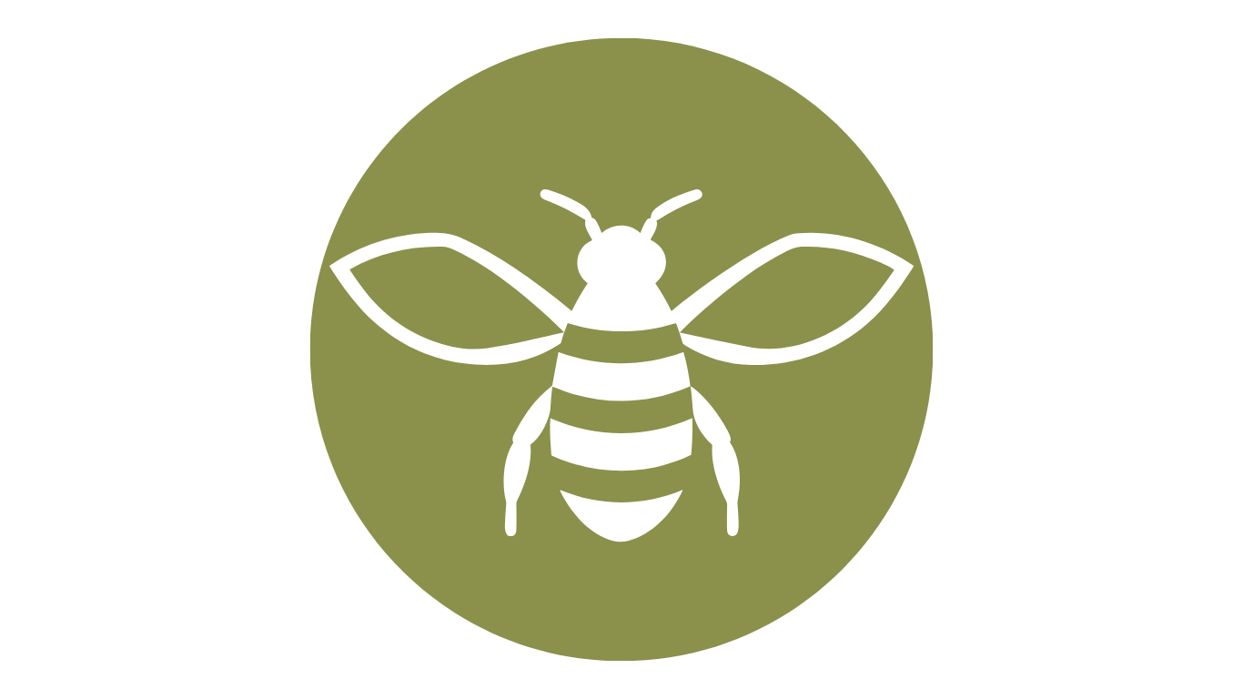 Bees - Amazon Pollinators