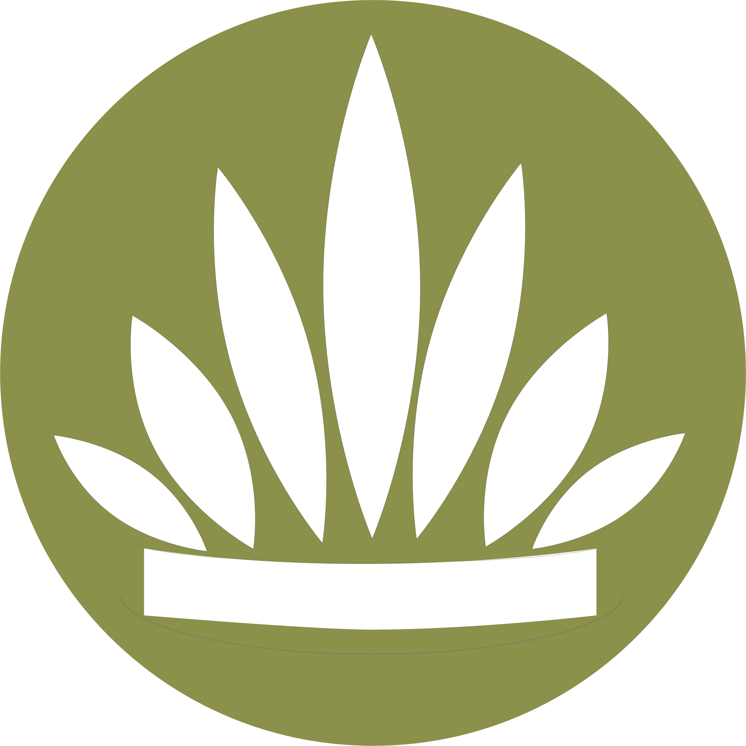 Ancestral Knowledge icon