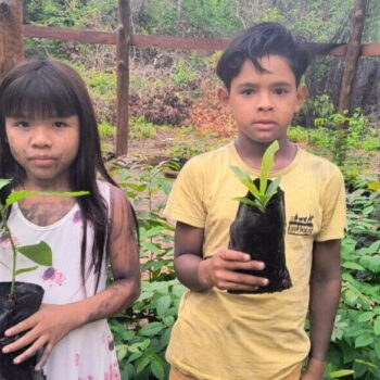 Ãwa children hold seedlings for planting.