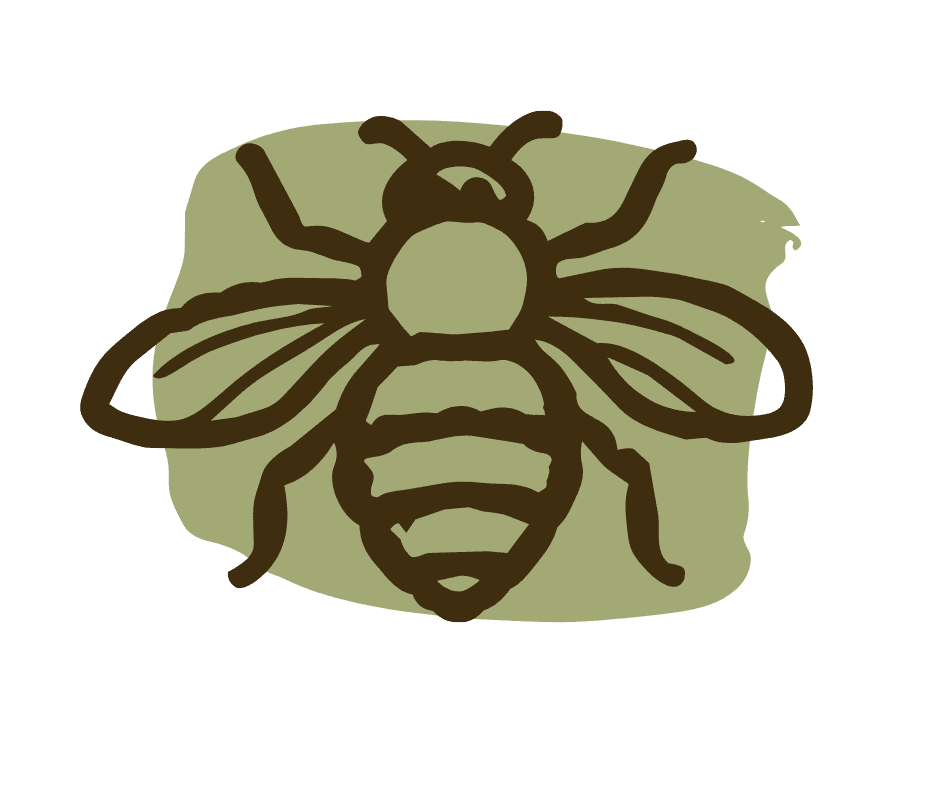 Amazon Pollinators (1)