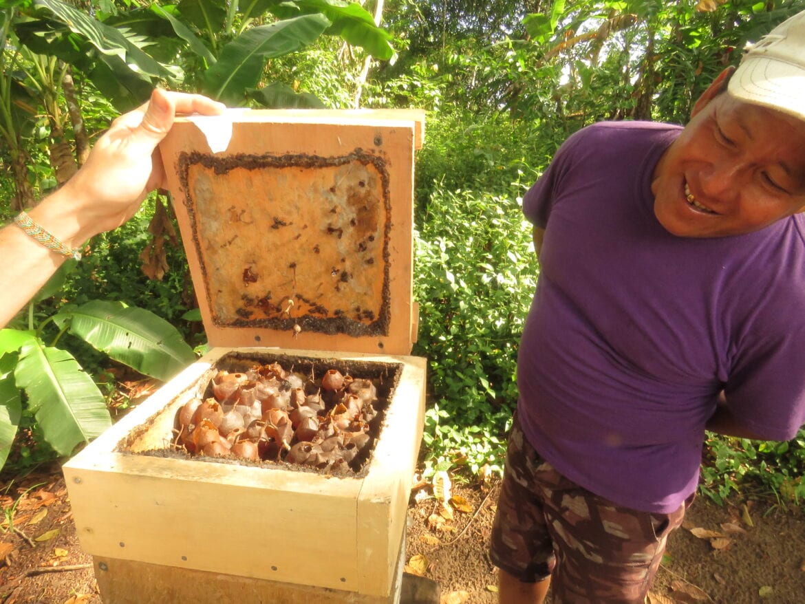 Bee Project in Suriname