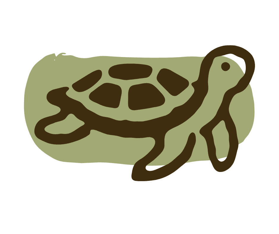 Biodiversity