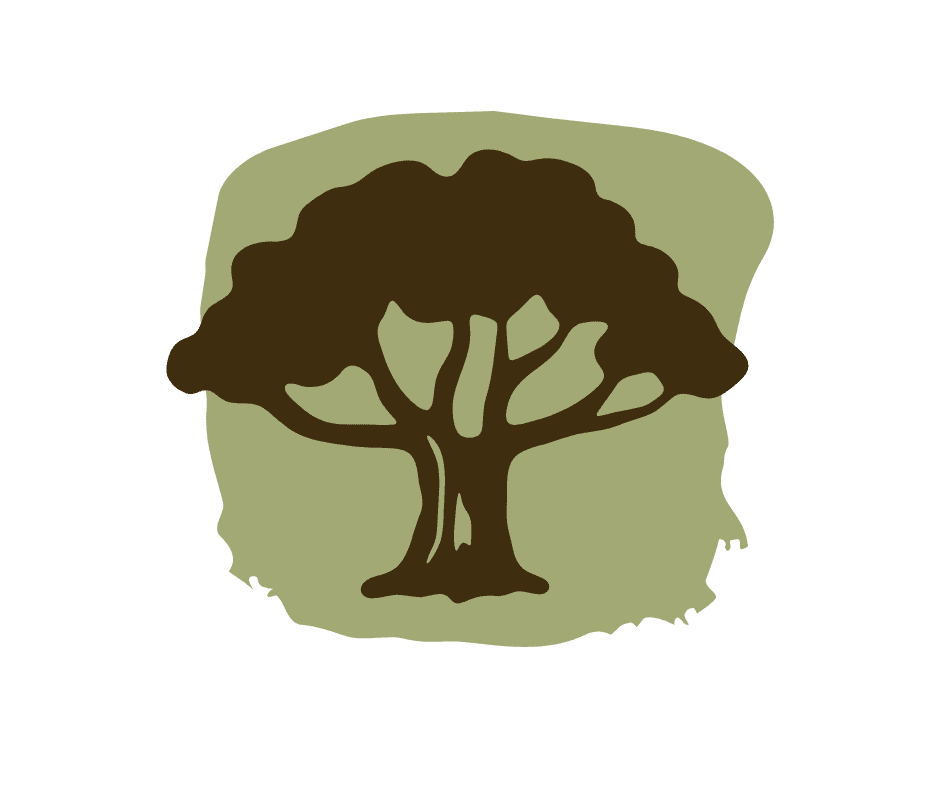 Forest Regeneration