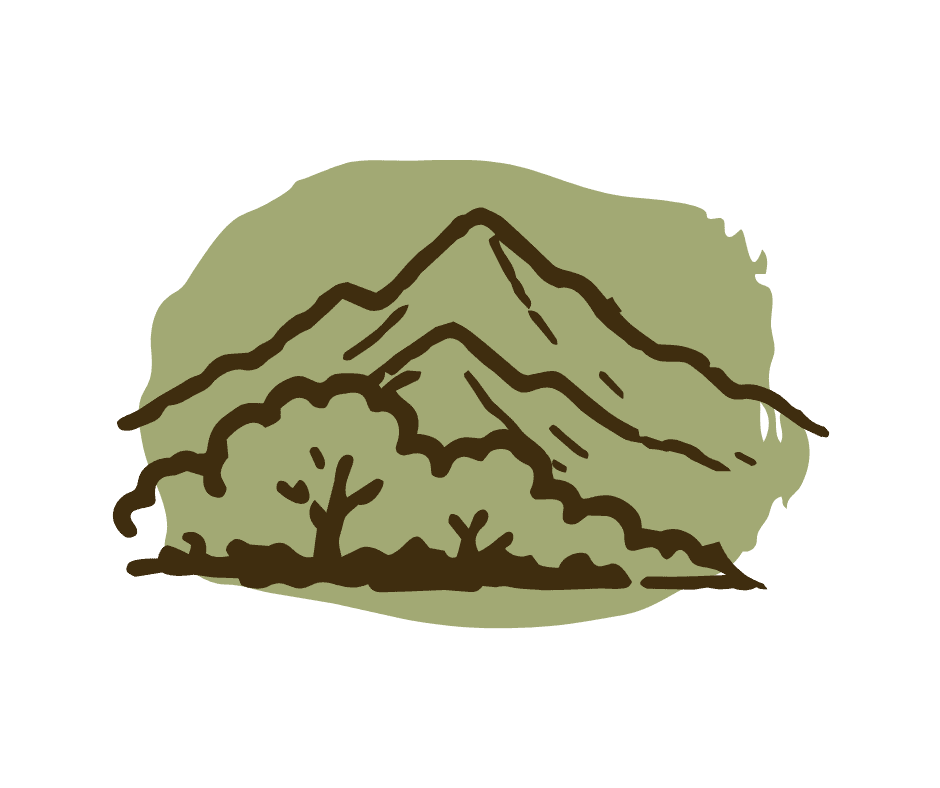 Healthy Forests