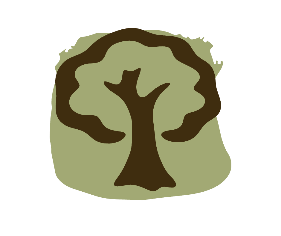 Rainforest Conservation