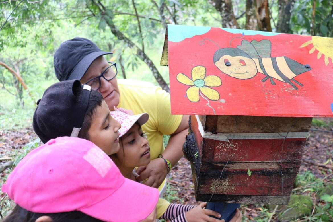 Stingless bee school visit 8 _ Santiago Toro
