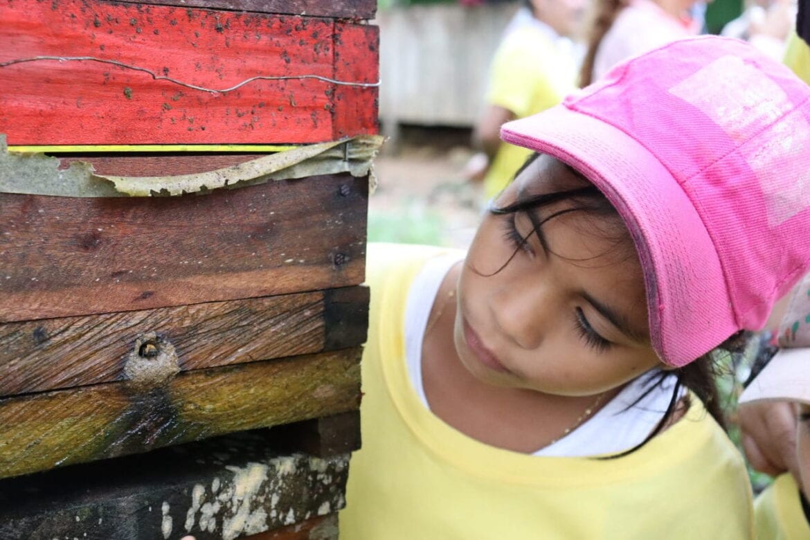 Stingless bee school visit 8 _ Santiago Toro