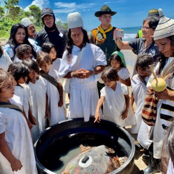 Spiritual leaders Mamo Camilo (Arhuaco people) and Mamo Salet (Kogui people) make an offering before releasing a rescued hawksbill sea turtle with a GPS transmitter in the Kutunsama community, Sierra Nevada de Santa Marta, Colombia.