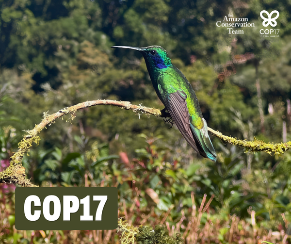 ACT at COP17