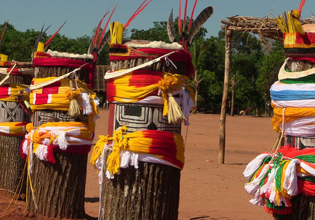 Ornamental ceremonial poles in the Xingu Indigenous Territory.