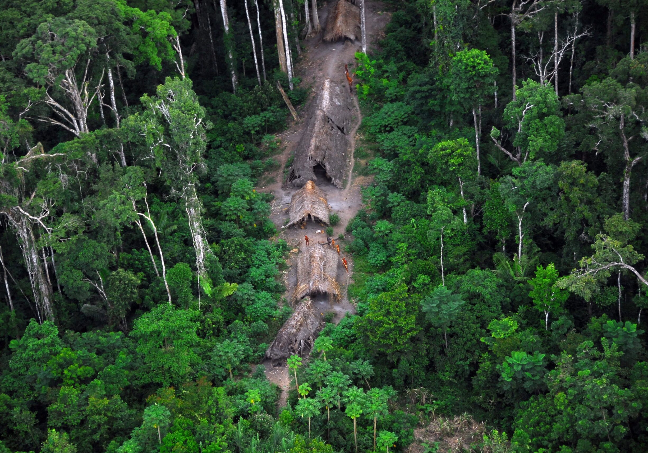 An isolated Indigenous community in Brazil. Photo by Gleison Miranda/National Foundation of Indigenous Peoples (Funai)