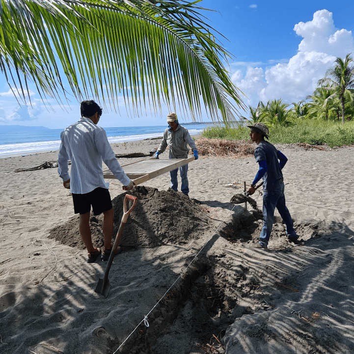 Group of people working at beach