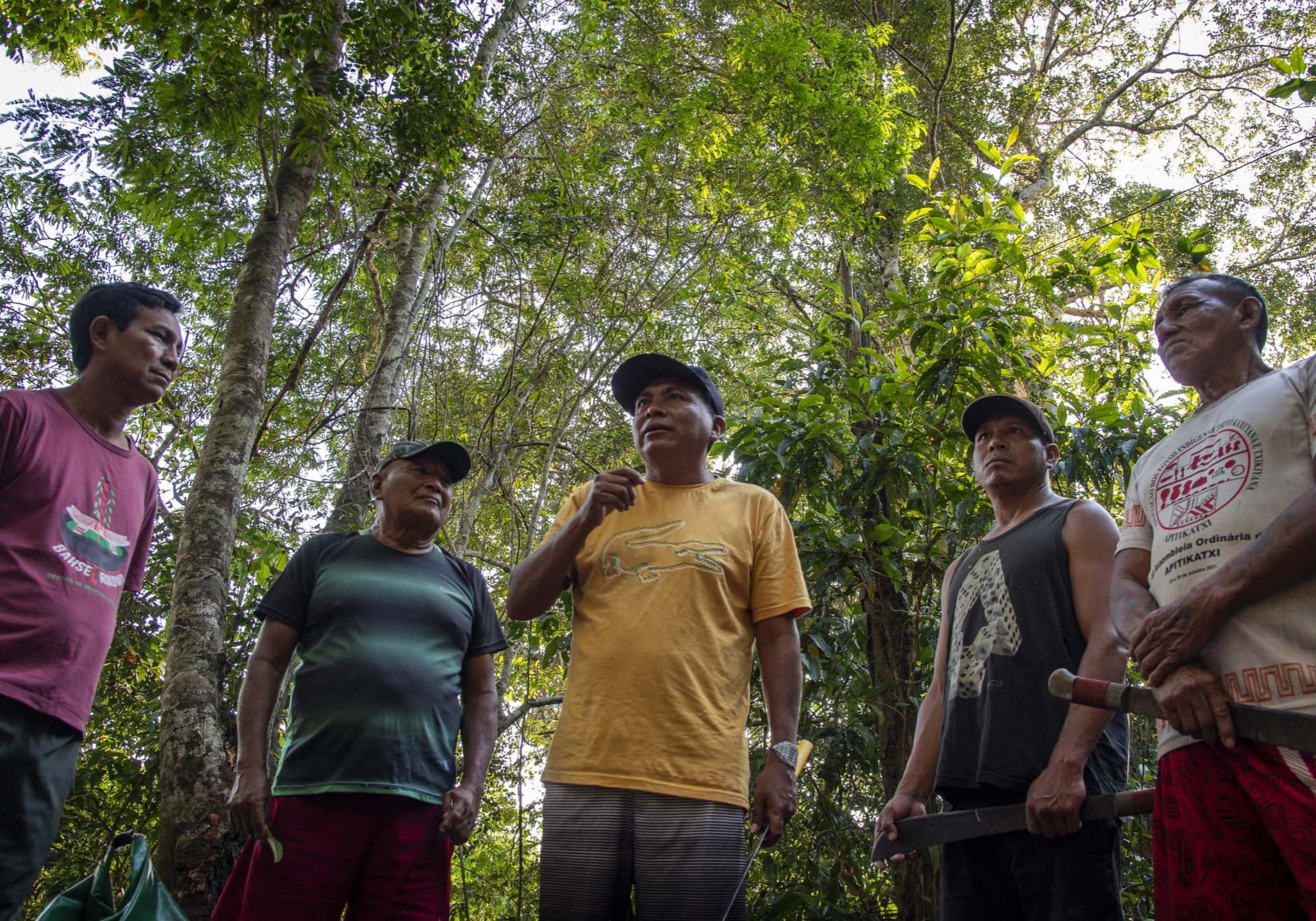 Indigenous healers gathered in the forest. Photo by Amanda Lelis.