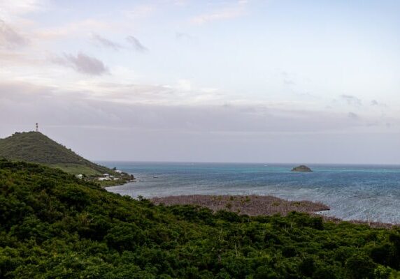 4444Corte Providencia-37