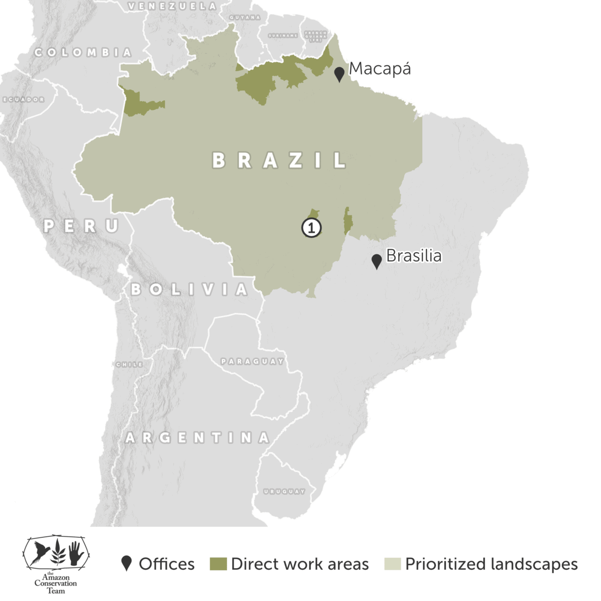 ACT Brazil 2023 NUMBERS