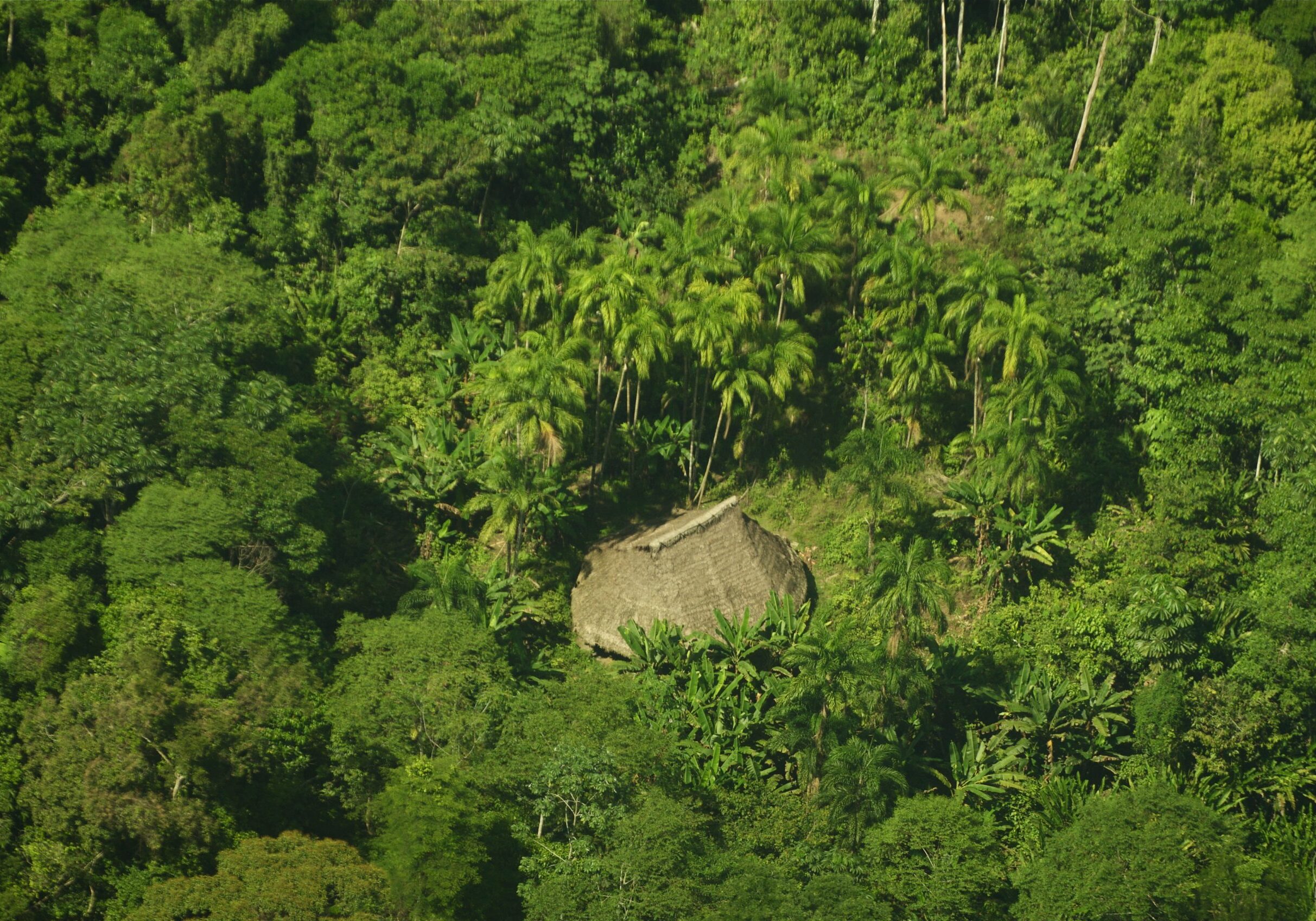 Amazon-Conservation-Team_Cristobal_von_Rothkirch_ACT_2010