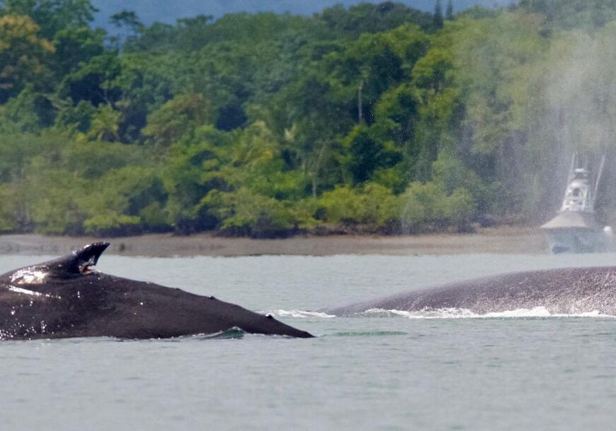 IMG-20250915-WA0033-min