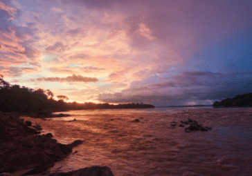 VC SSP LATAM_Greg Mendez_Thumbnail1