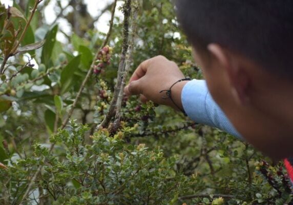 WhatsApp-Image-2023-06-01-at-7.59.32-PM-2