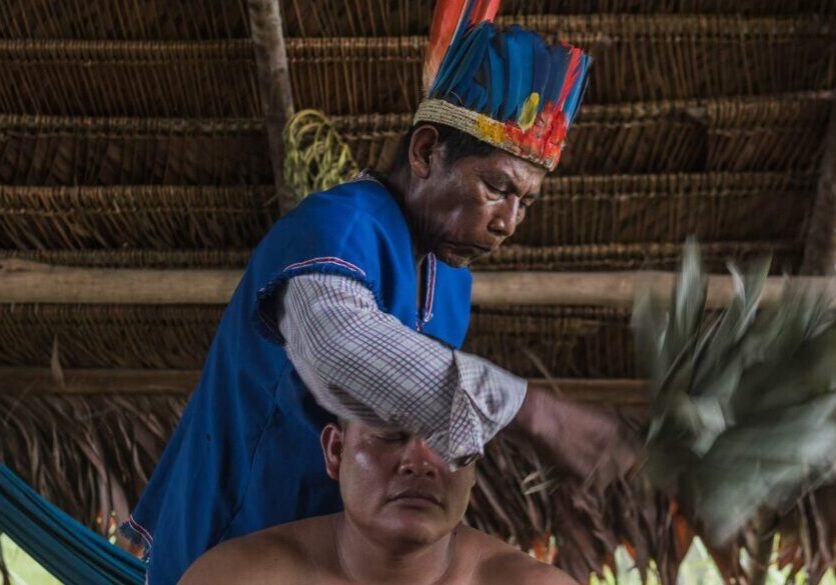 medicinas-indigenas-act-1170x780-panorama-fb42c88543eb16501f7018e80828ccf1-5e95abcfe8f6c